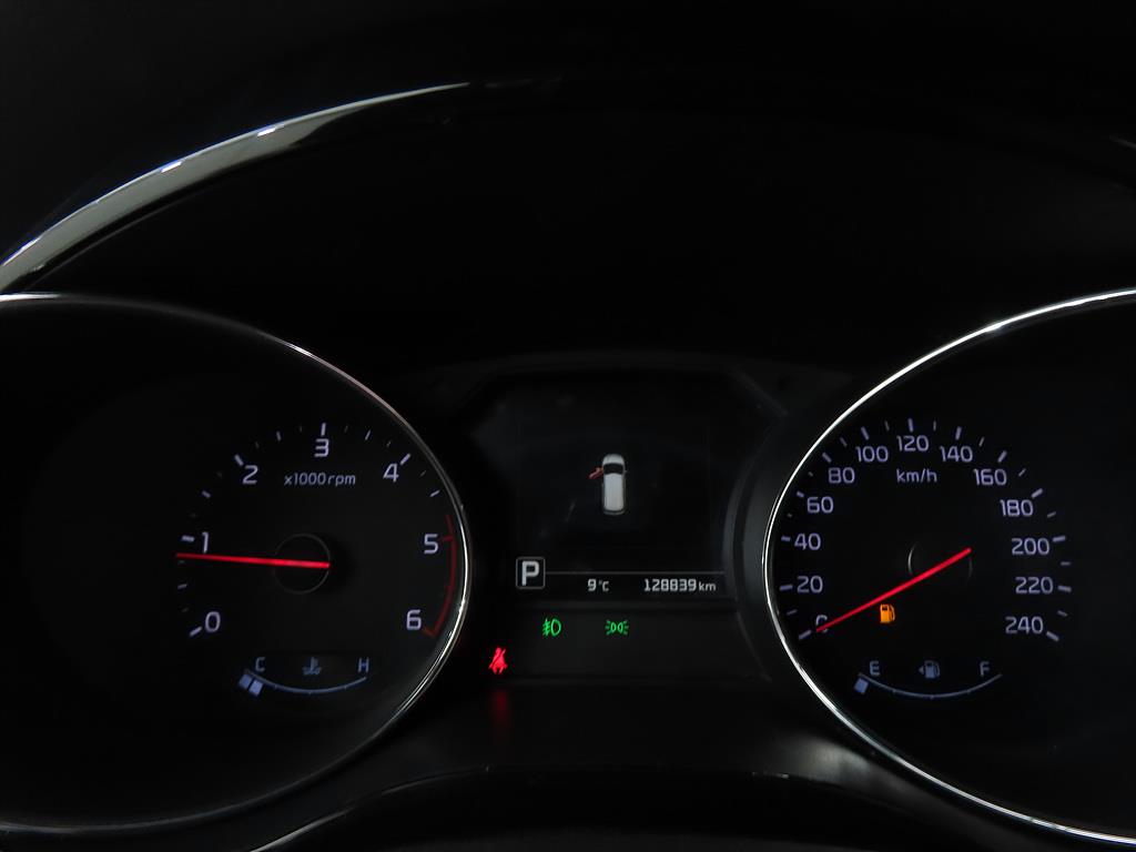 KIA Carnival - Vista 9