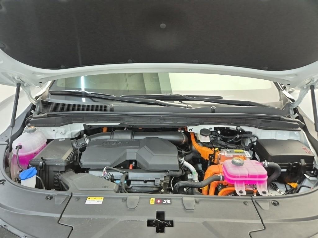 KIA Carnival - Vista 5