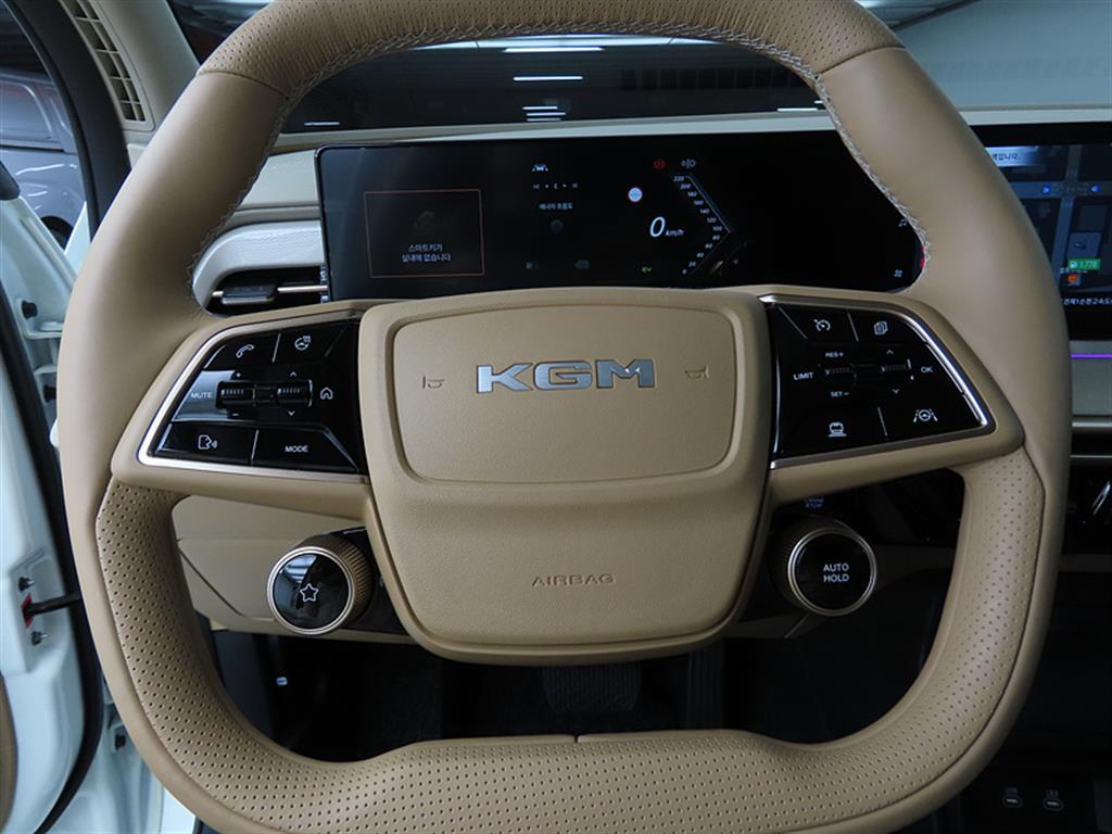 Ssangyong Action - Vista 8