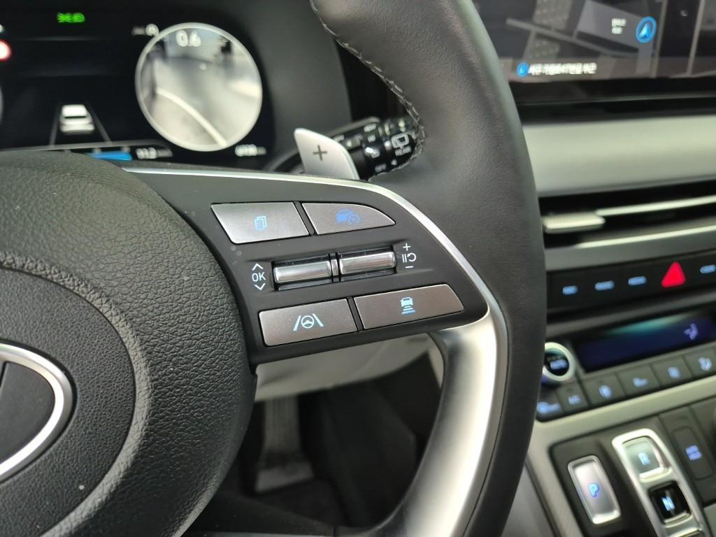 HYUNDAI Palisade - Vista 10