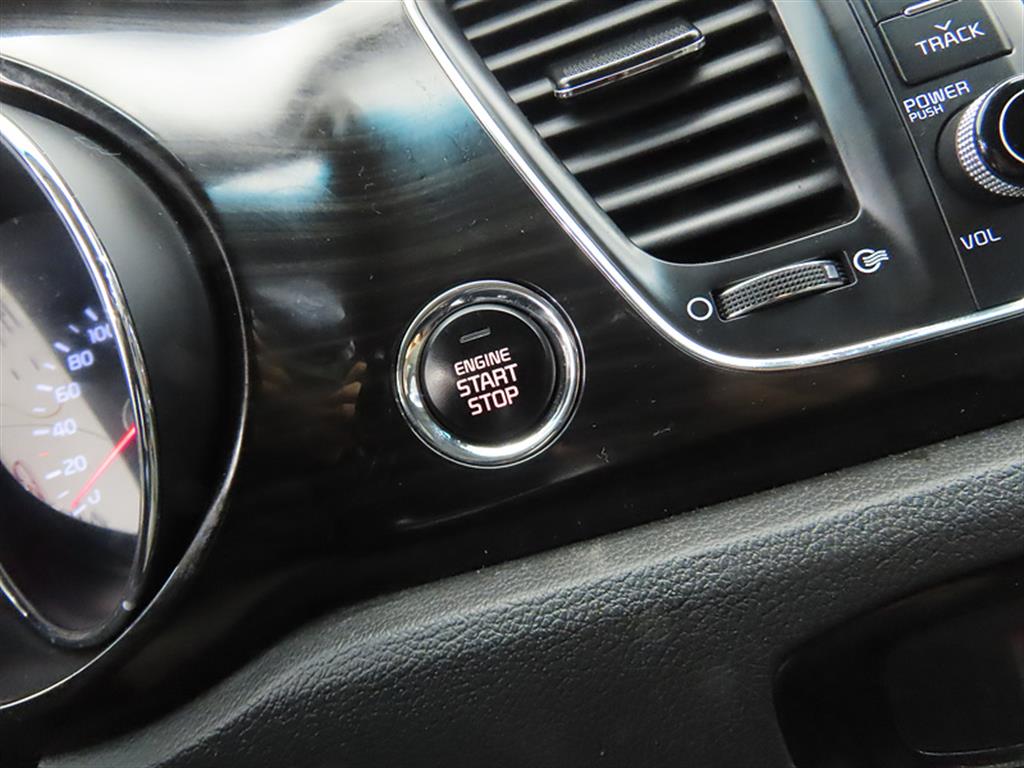 KIA Carnival - Vista 12