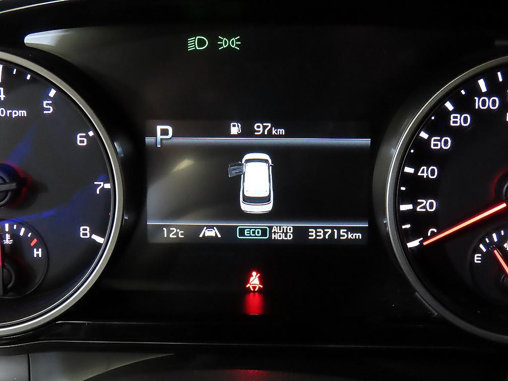 KIA Carnival - Vista 9