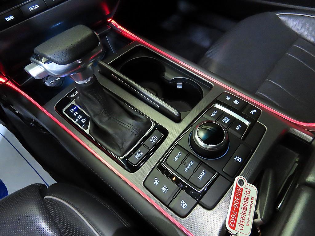 HYUNDAI Genesis - Vista 12