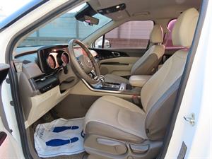 KIA Carnival - Vista 12