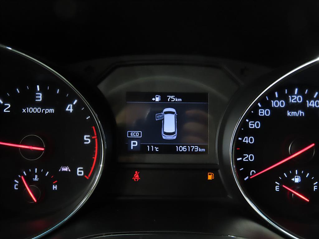 KIA Carnival - Vista 9