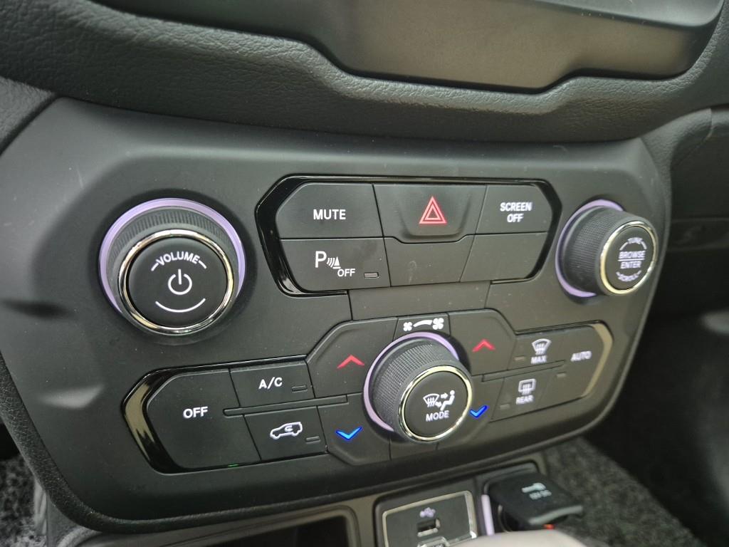 Jeep Renegade - Vista 10