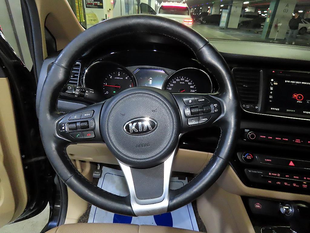 KIA Carnival - Vista 8