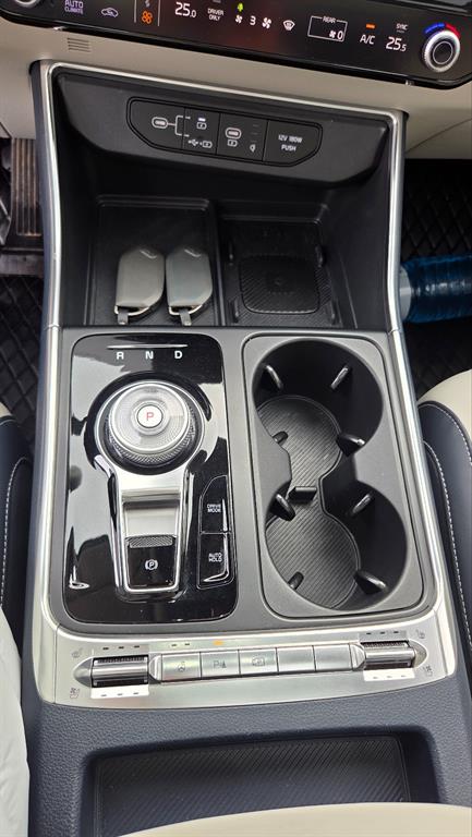 KIA Carnival - Vista 9