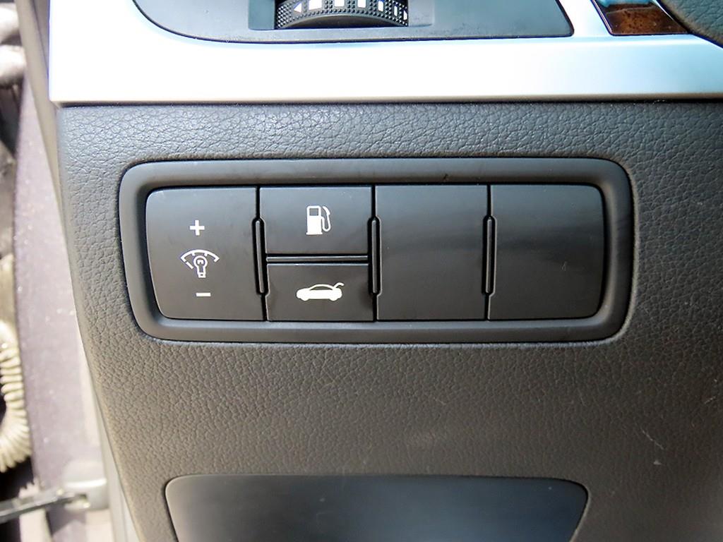 HYUNDAI Genesis - Vista 12