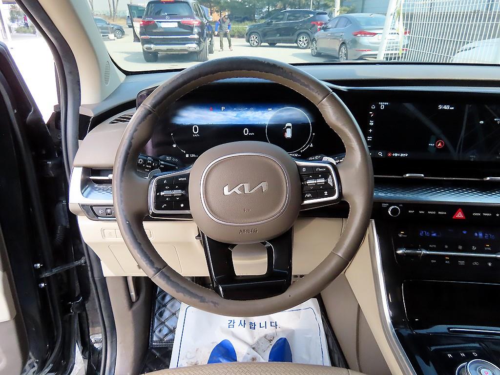KIA Carnival - Vista 8
