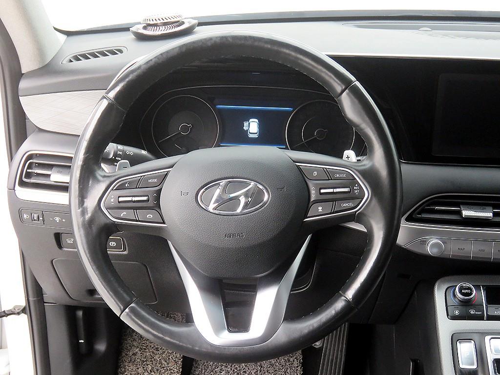 HYUNDAI Palisade - Vista 10