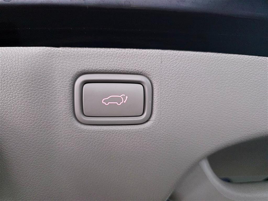 KIA Carnival - Vista 9