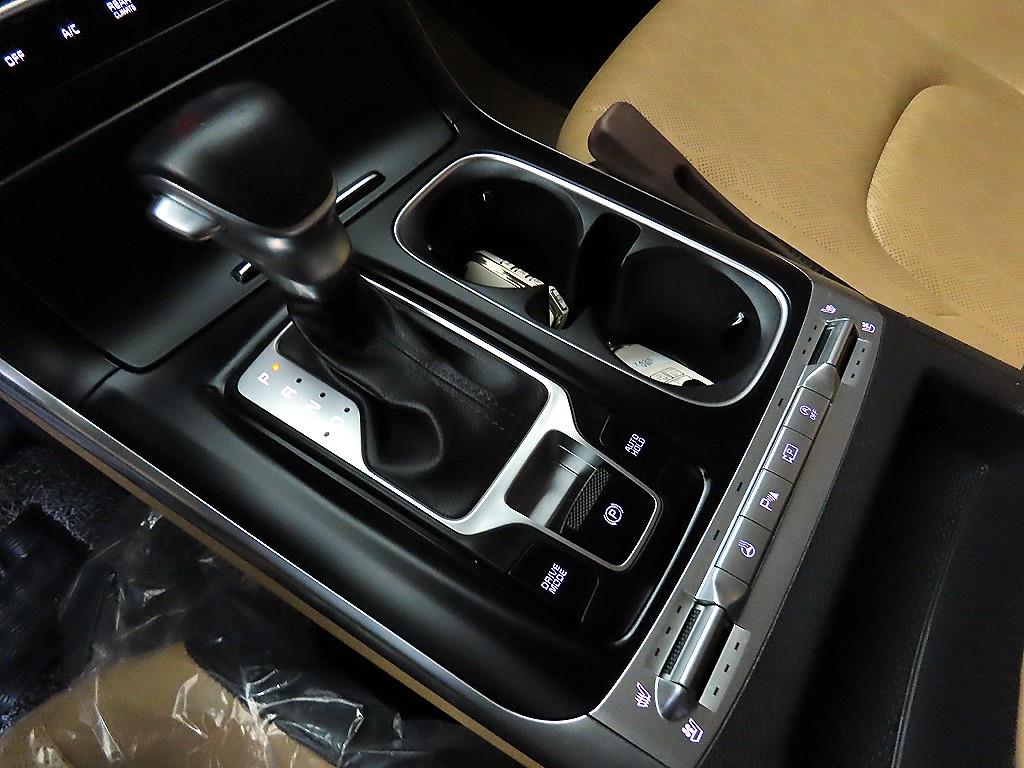 KIA Carnival - Vista 12