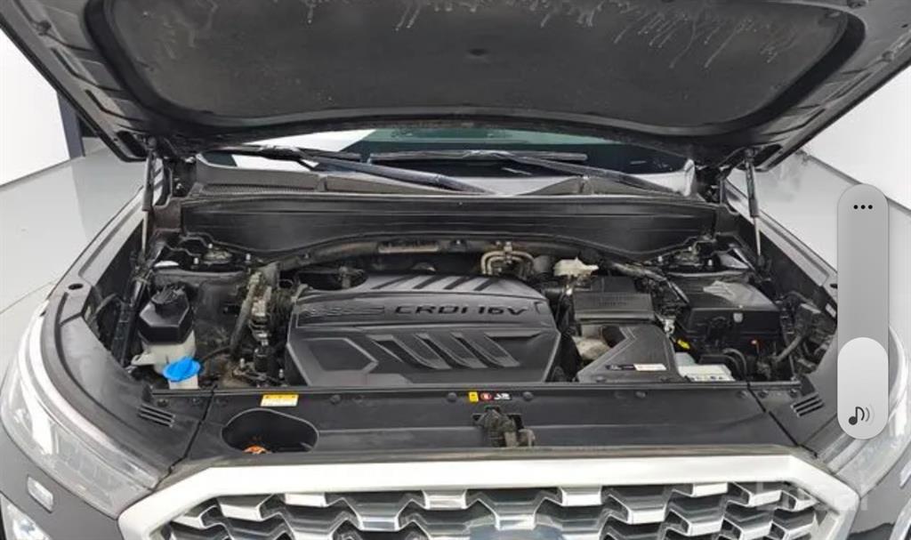 HYUNDAI Palisade - Vista 6