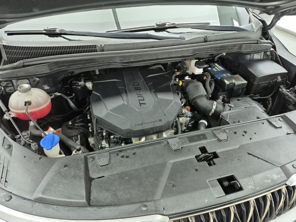 KIA Carnival - Vista 6