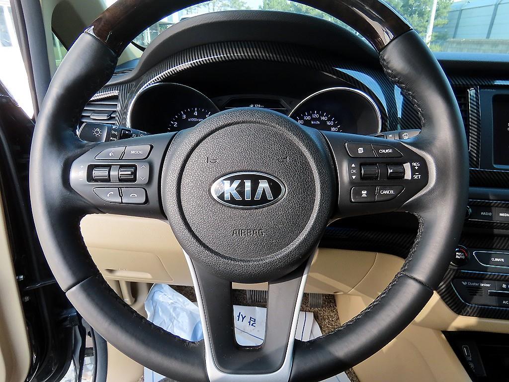 KIA Carnival - Vista 8