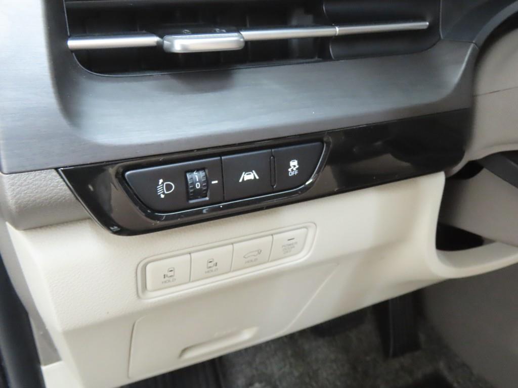 KIA Carnival - Vista 10