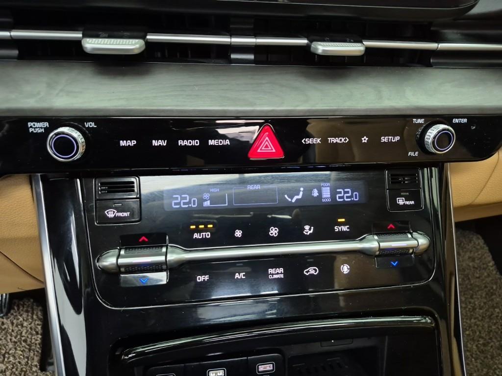 KIA Carnival - Vista 10