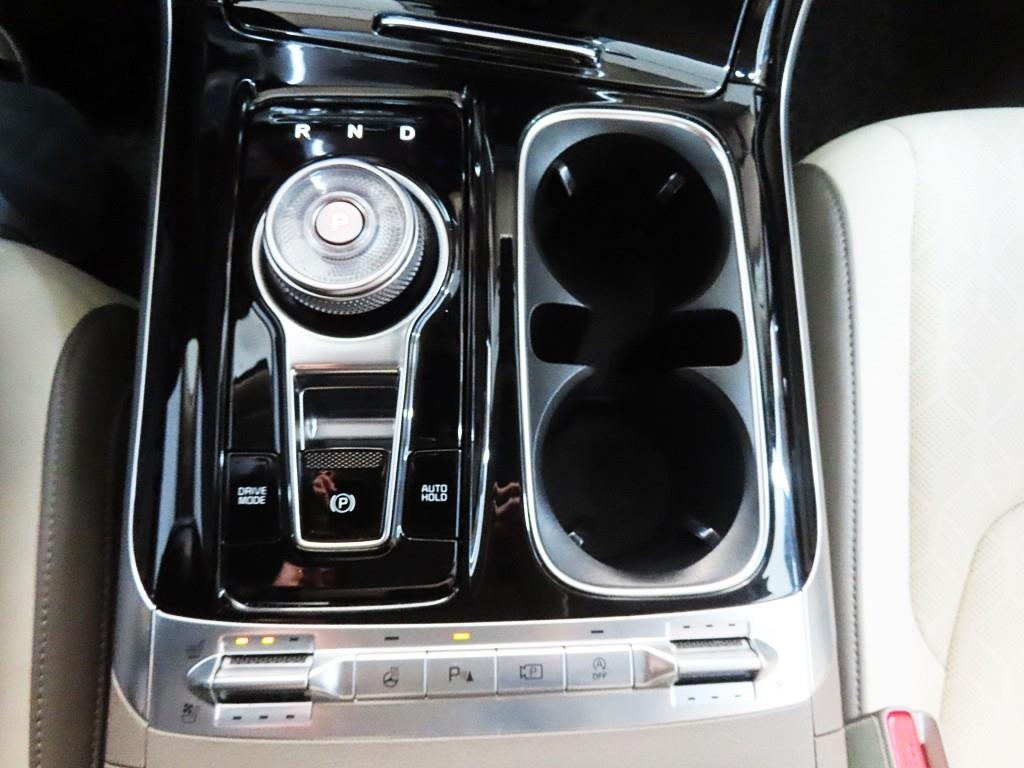 KIA Carnival - Vista 12