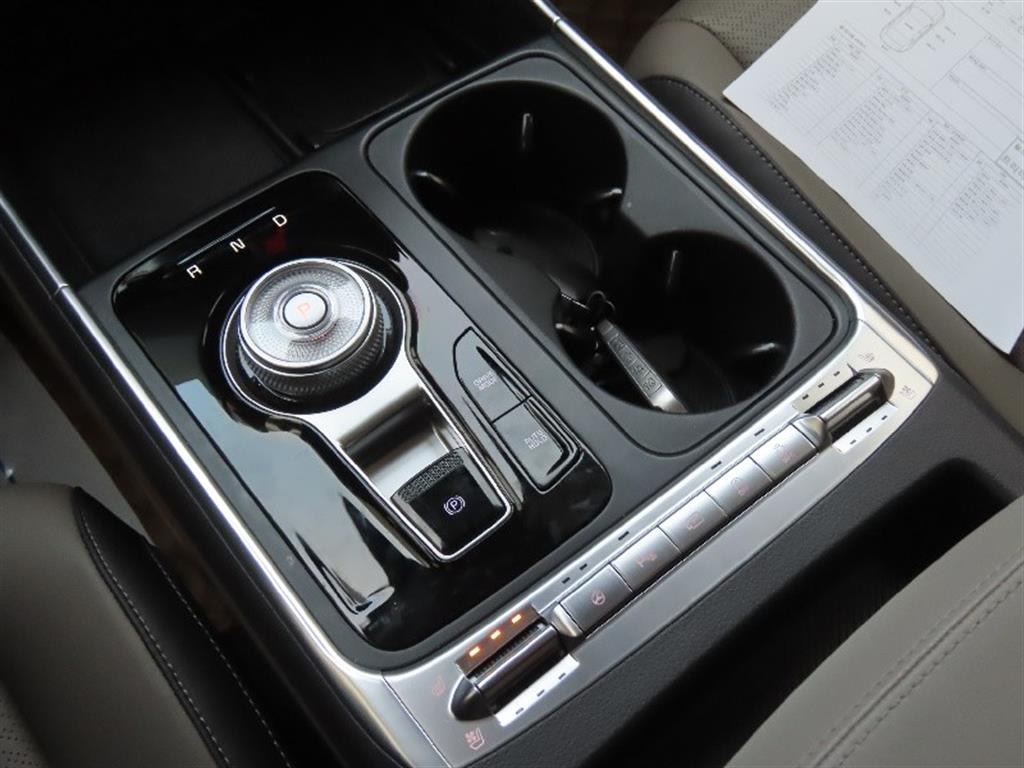 KIA Carnival - Vista 11