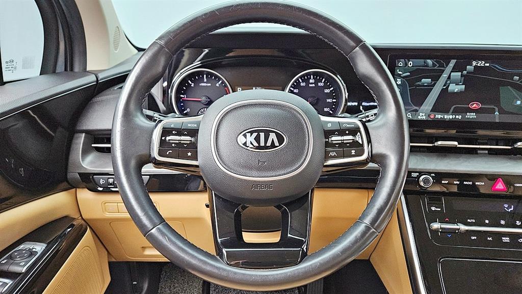 KIA Carnival - Vista 12