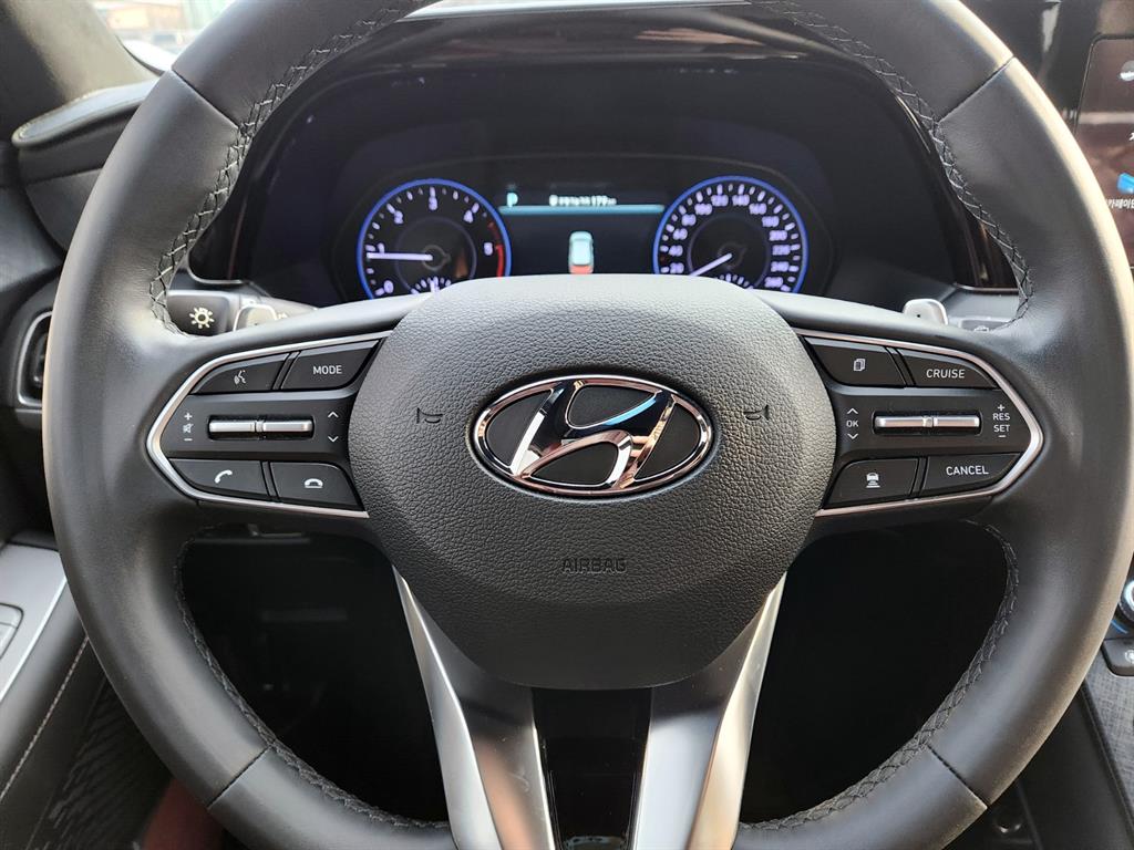 HYUNDAI Palisade - Vista 12