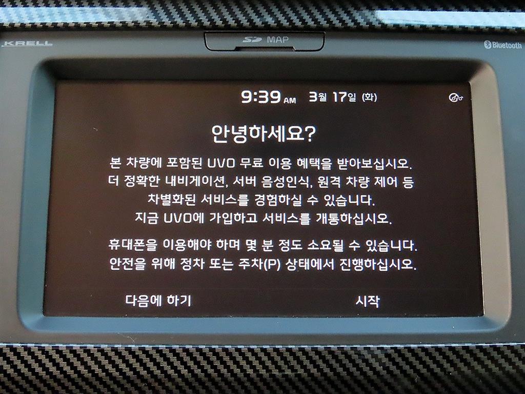 KIA Carnival - Vista 12