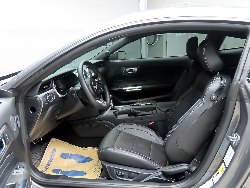 Ford Mustang - Vista 5