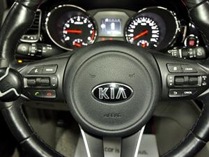 KIA Carnival - Vista 12