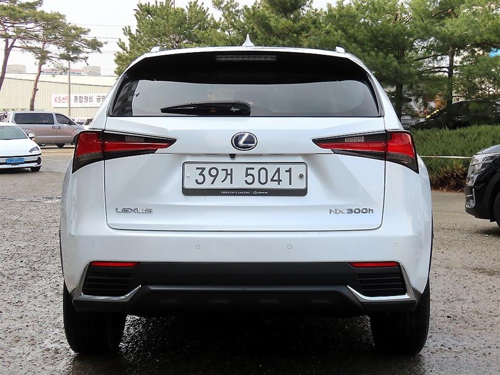 Lexus NX - Vista 4