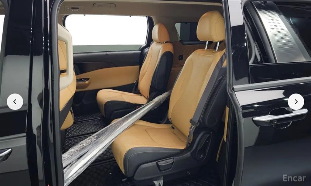 KIA Carnival - Vista 12