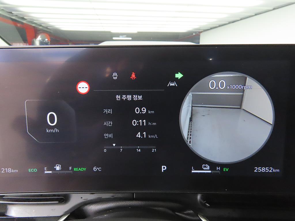 KIA Carnival - Vista 12