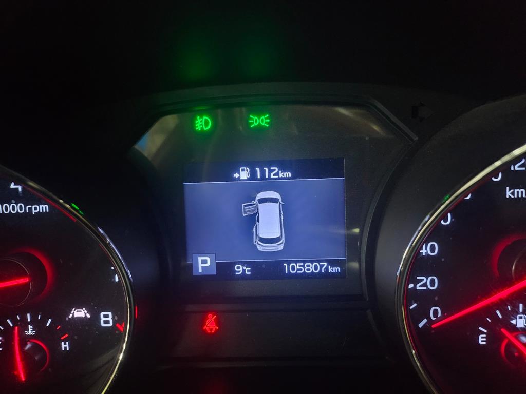 KIA Carnival - Vista 7