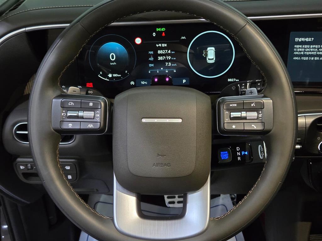 HYUNDAI Palisade - Vista 10