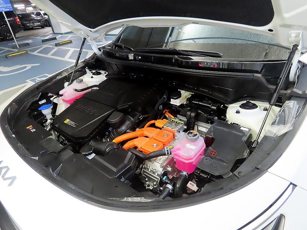 KIA Niro 2026 Blanco - Importación desde Corea - HF Imports Iquique - Foto 19