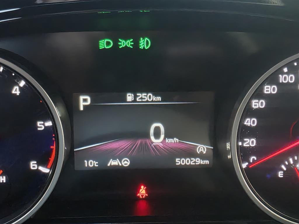 KIA Carnival - Vista 10