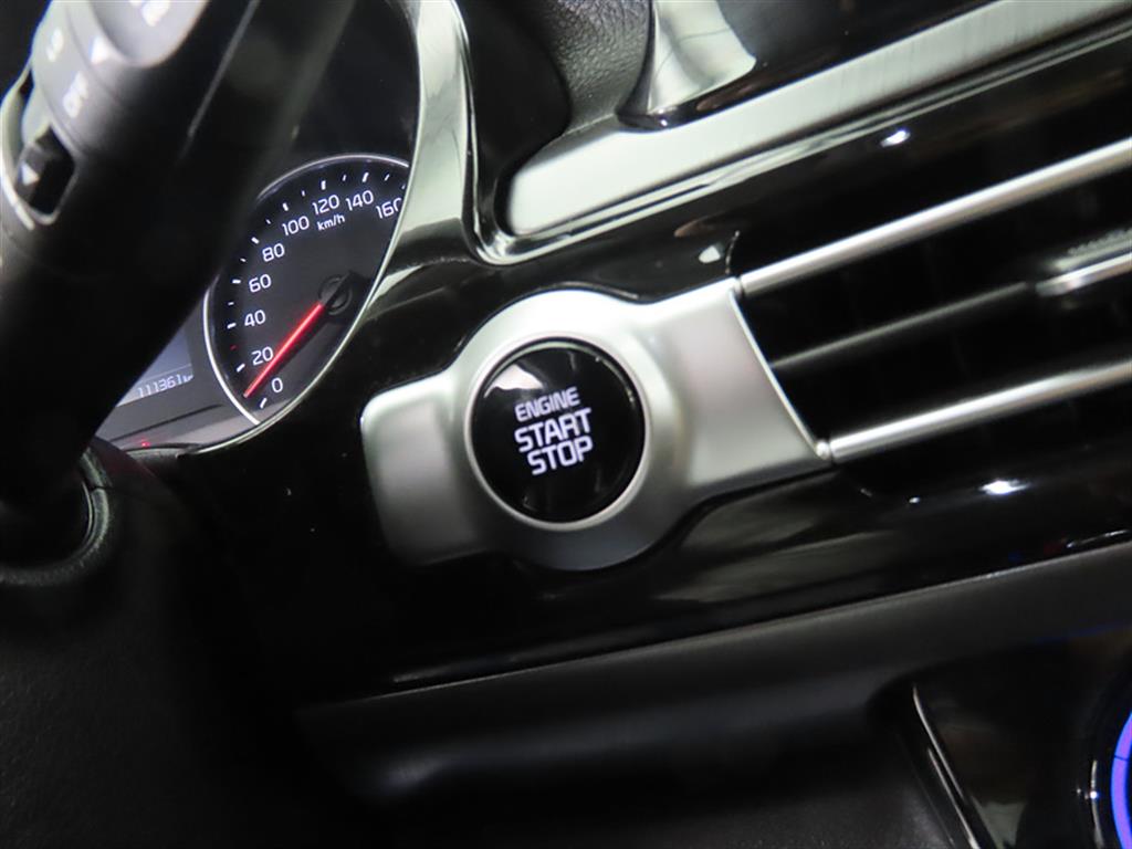 KIA Seltos - Vista 10