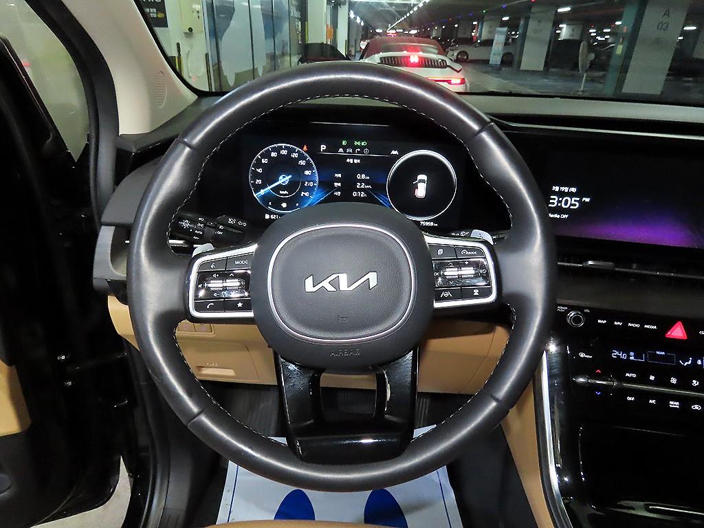 KIA Carnival - Vista 8