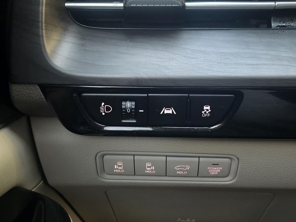 KIA Carnival - Vista 12