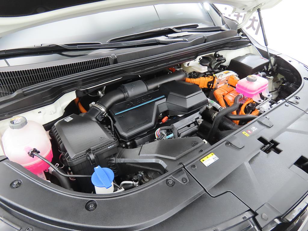 KIA Carnival 2025 Blanco - Importación desde Corea - HF Imports Iquique - Foto 19