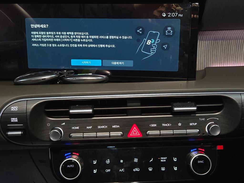 HYUNDAI Palisade - Vista 12