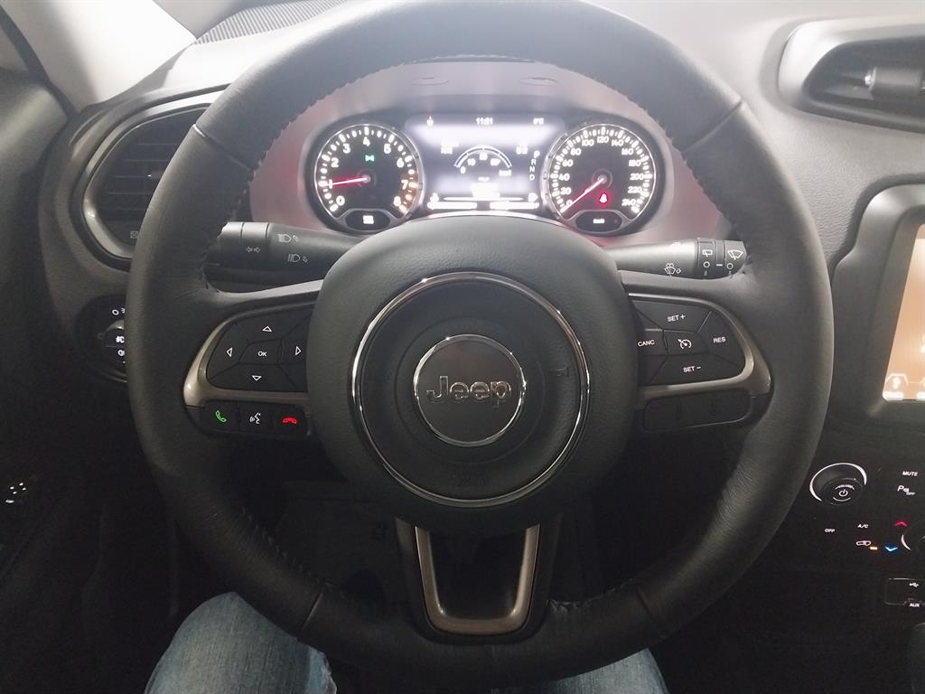 Jeep Renegade - Vista 7