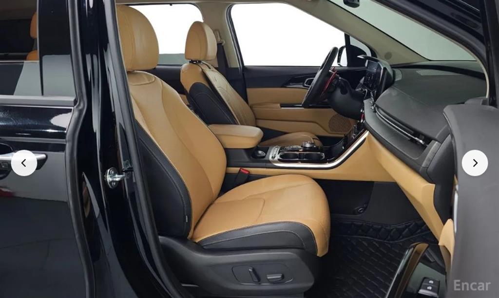 KIA Carnival - Vista 10