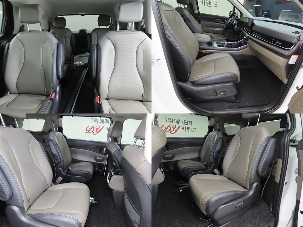 KIA Carnival - Vista 6
