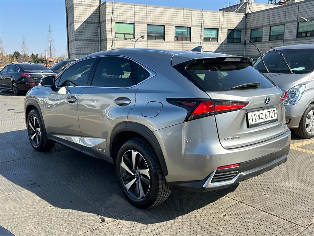 Lexus NX - Vista 5