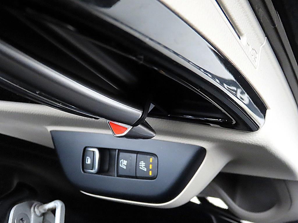 KIA Carnival - Vista 12