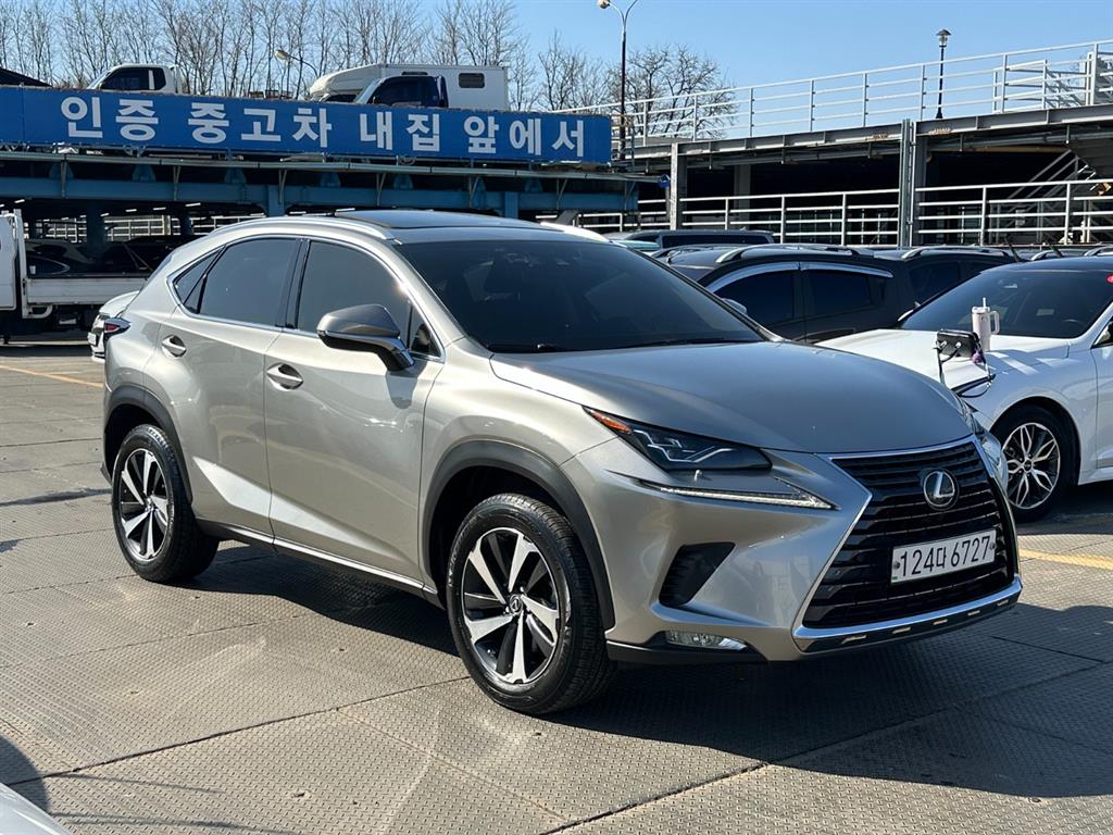 Lexus NX - Vista 6