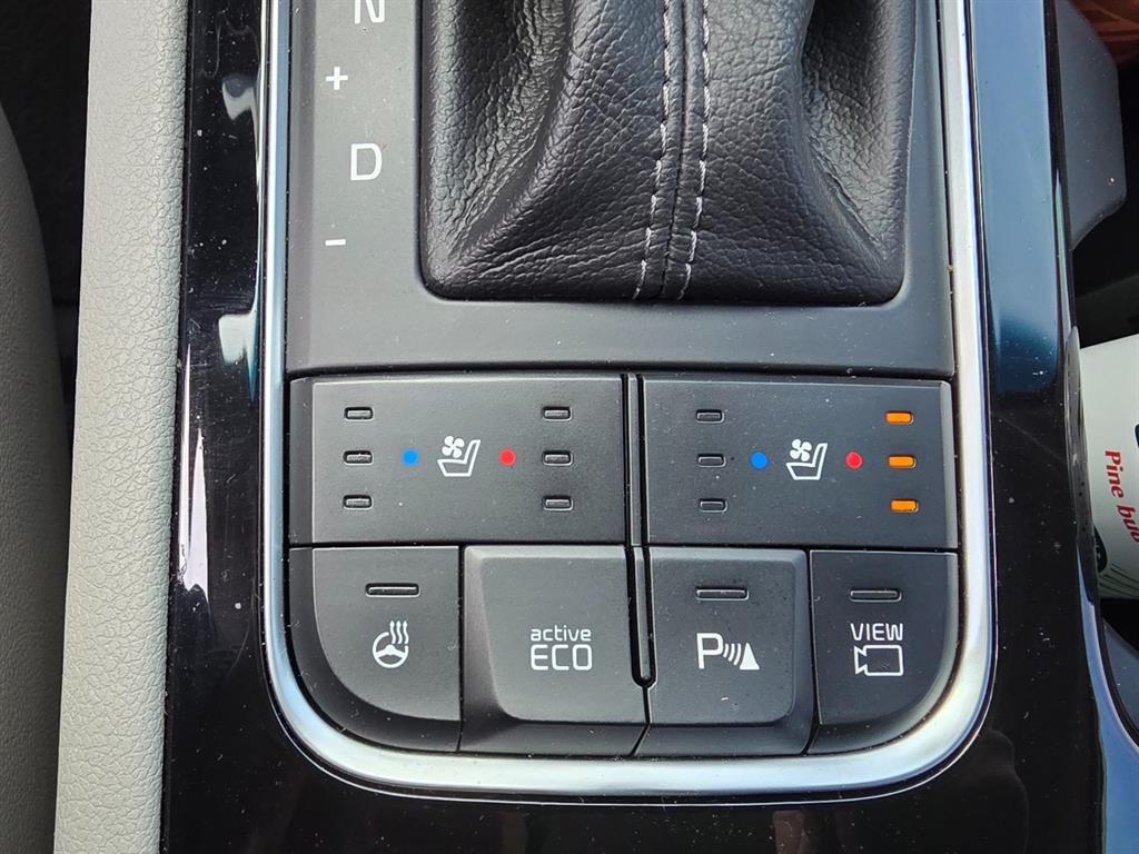 KIA Carnival - Vista 11