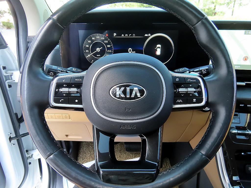 KIA Carnival - Vista 9