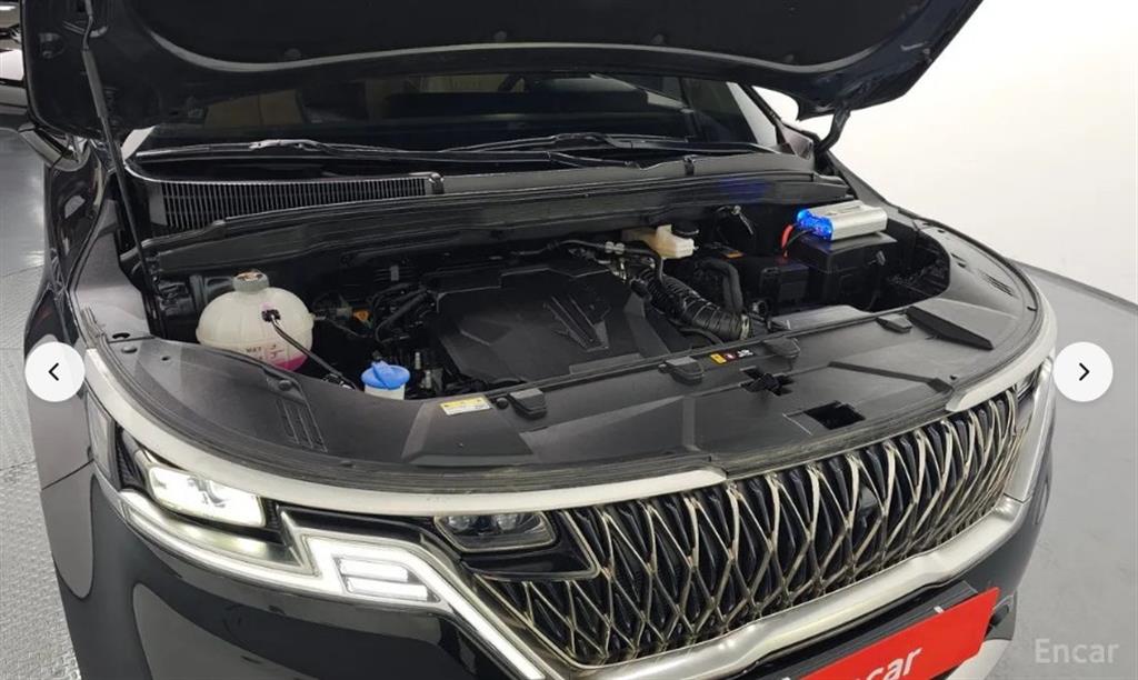 KIA Carnival - Vista 6